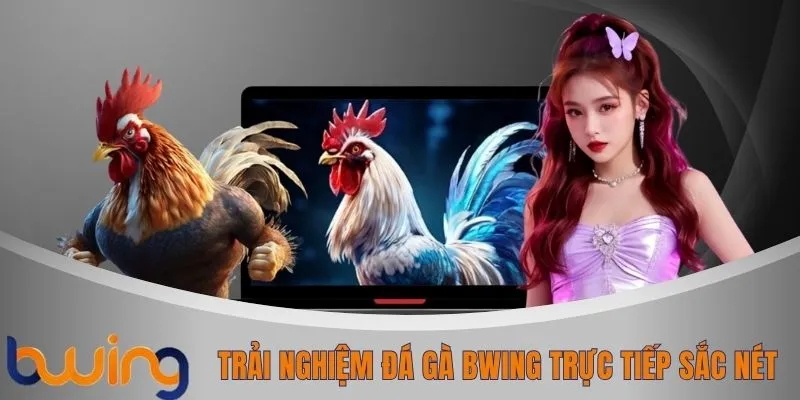Trải nghiệm đá gà BWING trực tiếp sắc nét